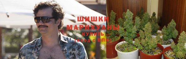 гидропоника Мегион