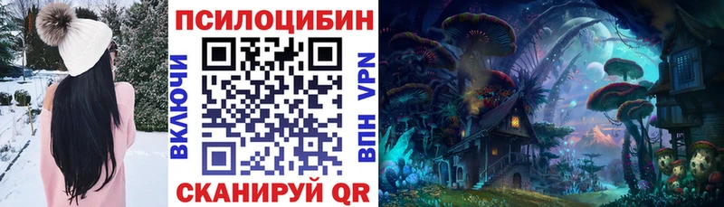Галлюциногенные грибы Psilocybe  Шали 